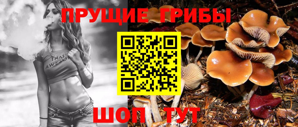 Борисоглебск  Псилоцибиновые грибы прущие грибы  Галлюциногенные грибы MAGIC MUSHROOMS  Вход с VPN 